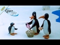 Pingu And The Stranger Pingu Official Channel