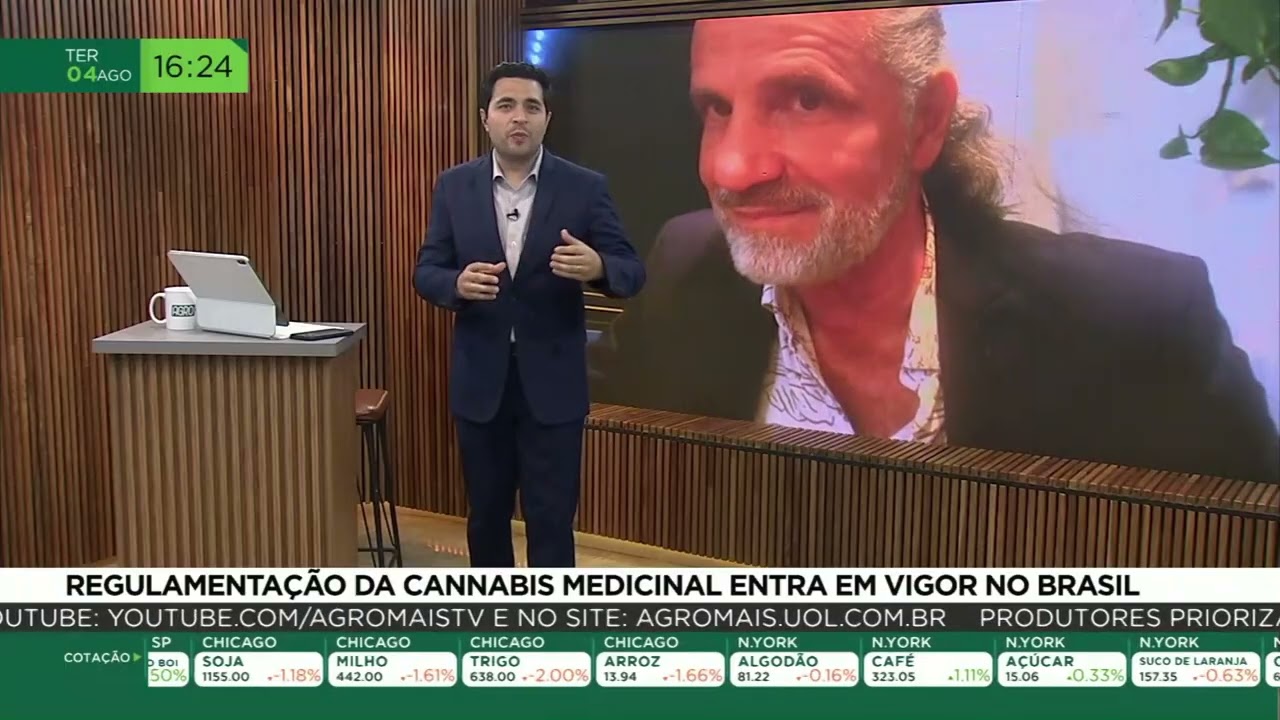 Regulamentação da cannabis medicinal entra em vigor no Brasil