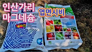 사과나무 인산가리 마그네슘 엽면시비