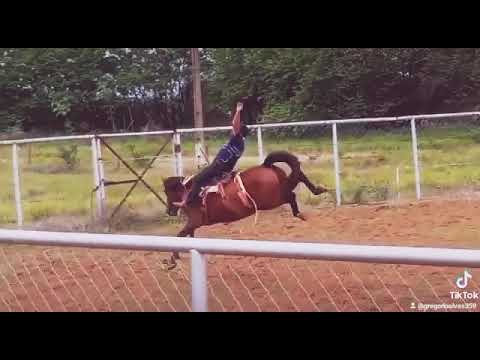 eliomar pereira (bolinha ) x muralha