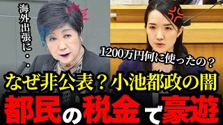 【さとうさおり】隠していた豪遊がバレた‼︎!?都議会で質問攻めで明らかに!!!