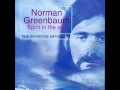 Spirit in the Sky - Norman Greenbaum 