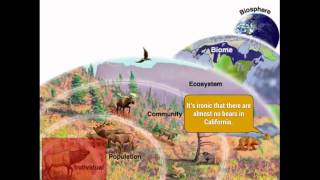 Ecology: Levels of Organization (Organisms, Communities, Biomes, biosphere)