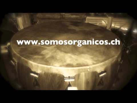 download lagu mp3 mp4 Somos Organicos, download lagu Somos Organicos gratis, unduh video klip Somos Organicos