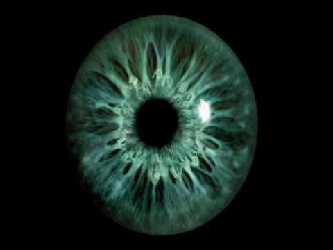 I Get It In- Young Zoe