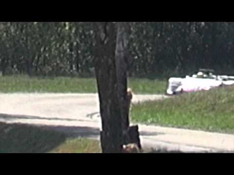 2015 Oberhallau, Steiner Marcel, Martini BMW MK 77, E2-SC über 2000 ccm