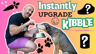 10 EASY Ways to Improve Your Dog