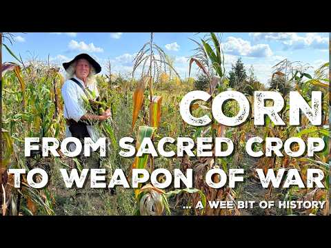 Corn: From Sacred Food to Weapon of War | Indigenous Agriculture | History | Homestead