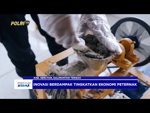 INOVASI PAKAN AYAM PETELUR POLRES SERUYAN, DUKUNG KETAHANAN PANGAN DAN EKONOMI LOKAL