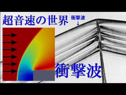首長竜の興味深い流体力学