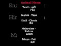 Learn Animals Names Tamil English Hindi Malayalam Telugu Shorts Trending Learn Words Write