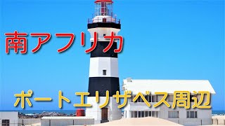 【南アフリカ】ポートエリザベス周辺