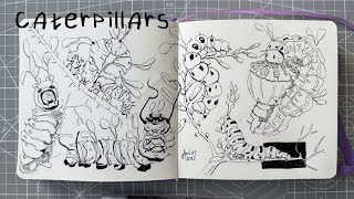 sketchbook session | caterpillars