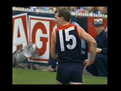 David Williams - Melbourne - 3 goals v North Melbourne - 1987 Elimination Final - MCG - VFL