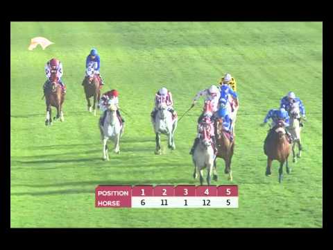 Qatar Local Purebred Arabian Trophy