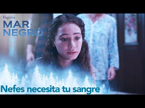 Nazar lleva a Mercan al hospital - Mar Negro Capítulo 86 | Fugitiva