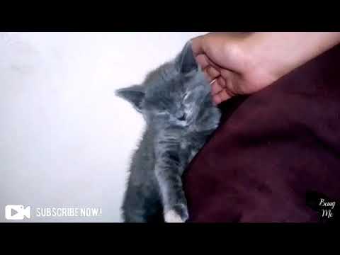 She's been sleeping for an unusually long time