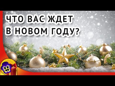 Что вам подарит новогодняя ночь?Что тебя ждет в Новом году? Шуточные предсказания🎄Новогоднее гадание