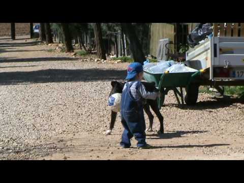 ESCUÁLIDO y SU AMIGO