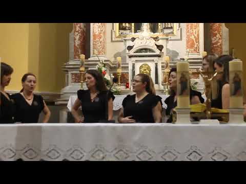 KLAPA ŠKERAC - BEATA VISCERA ,13 ST  PEROTIN