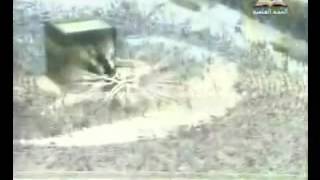 صورة حياة العلامة المحدث الألباني _ مع الشيخ السدحان 2