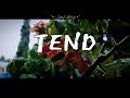 TEND - Lyric Video | Emmy Rose, Bethel Music #tend #lyricvideo #bethelmusic #soulifting