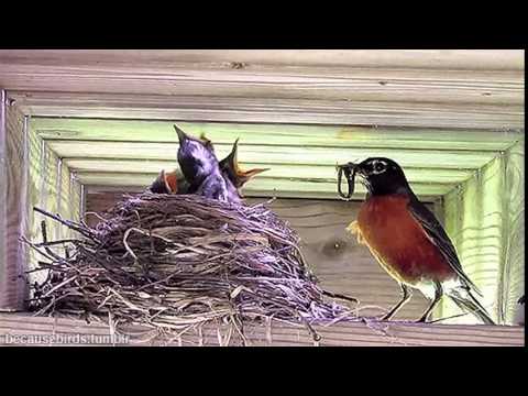 GIF compilation from 2014-04-01 and 2014-03-27, cute, gif