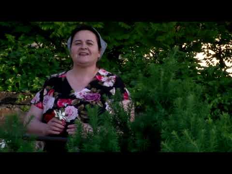 Eva Mance - Doar o vorbă dacă spui - Muzica Crestina 2019 // OFFICIAL Video //