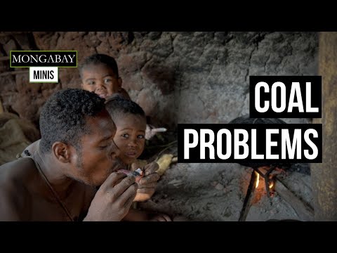Coal demand is wiping out Madagascar's Mikea community forest