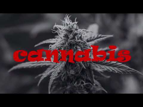 ZWiM - To nie ta chwila ( Record , Mix & Mastering by KO44 )