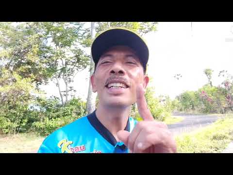 Melut Biu-Gus Jody, cover by Ungsiada