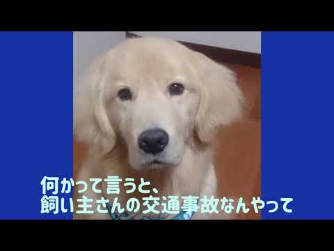 ワンワンU・x・Uお悩み相談室3️⃣〜福井市「なのくん」🐶安全で楽しいツーリングを🏍