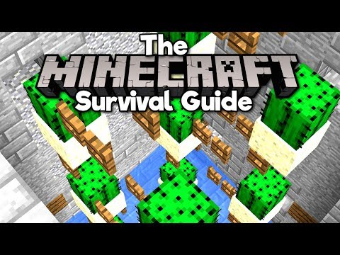 Pixlriffs - How To Farm Infinite Cactus! ▫ The Minecraft Survival Guide (Tutorial Lets Play) [Part 42]