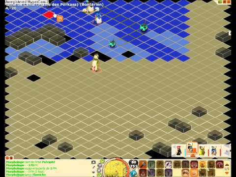 comment quitter une guilde dofus