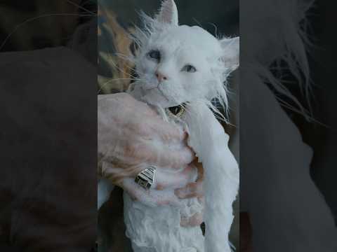 video-thumbnail