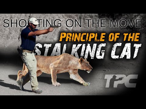 Mastering Shooting On The Move: The Stalking Cat Principle