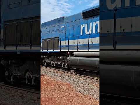 Trem em Marialva-PR composição vazia para CHS locomotivas SD40. 07/09/2025 #train #ferrovia #railway