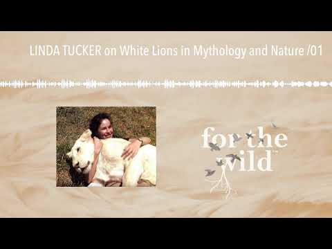 LINDA TUCKER on White Lions in Mythology and Nature /01