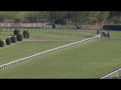 8. dostih - CENA SILVANERA - dostihy Velká Chuchle 22. 4. 2019