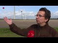 Windpark NOP slaat 1000 vogels uit de lucht