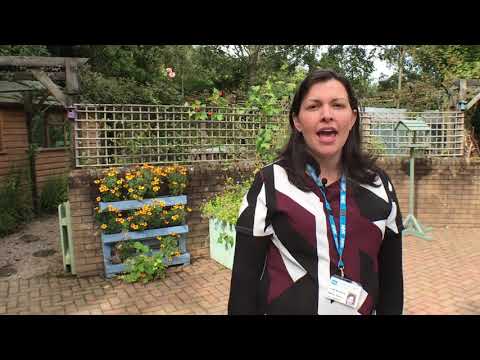 Chairman's Awards 2018: Acute Mental Health Downpatrick