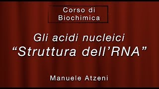 Biochimica (La struttura dell'RNA)