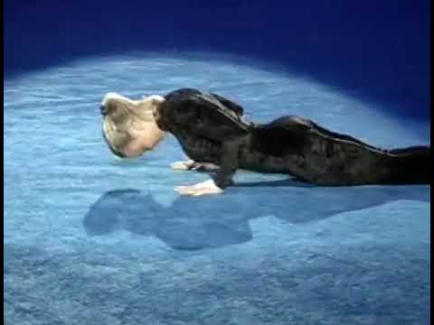 1996 Reeses Gymnastics Cup   Melissa Marlowe USA FX