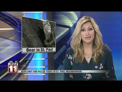 News   6pm News April 25