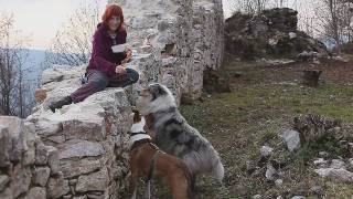 preview picture of video 'Slovak karst - on plateau Dolný vrch with collies'