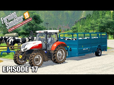 FILLING THE COW PEN Alpine DLC Timelapse - FS19 Ep 17