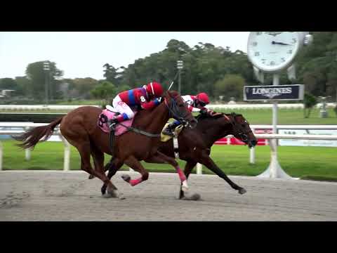 220430 c09 PAMPANEIRO