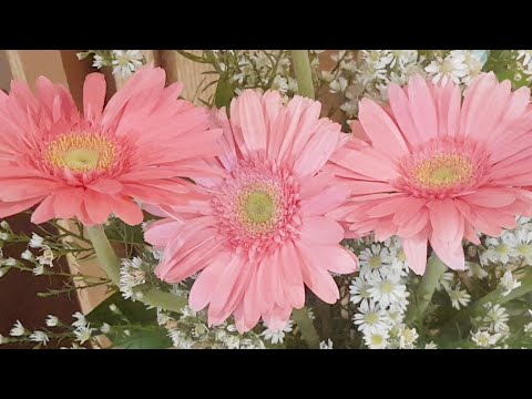 25/11/2019 - Busque a Felicidade Eterna