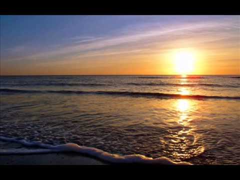 Makoto (feat MC Conrad) - Golden Girl (Lenzman Remix) (CLIP)