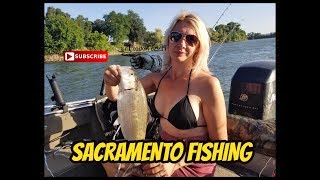 SACRAMENTO RIVER SHAD FISHING